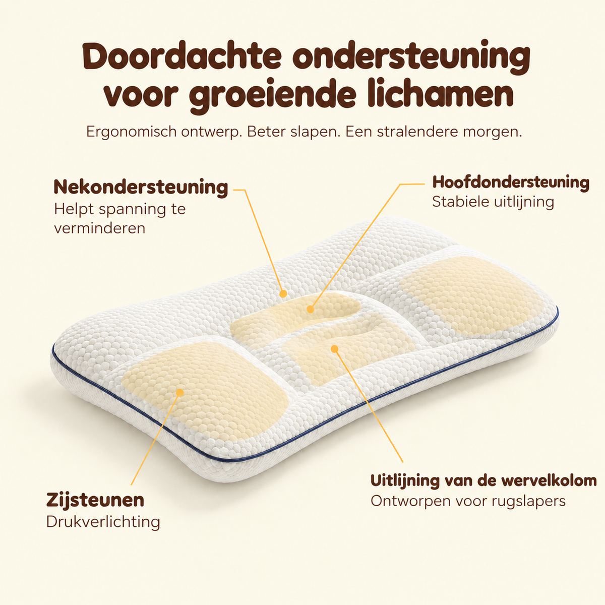 Uitleg van de ondersteuningszones van het Kleo kussen: nek, hoofd, zijsteunen en wervelkolom